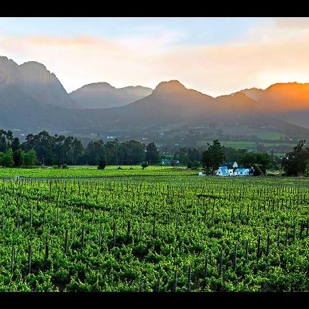 Apartamento Sorbonne 1 - No Loadshedding Franschhoek Exterior foto